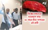 বিশ্বের সবচেয়ে ব্যয়বহুল মাছ! ৪০ বছর বাঁচে সাগরের এই রানী 