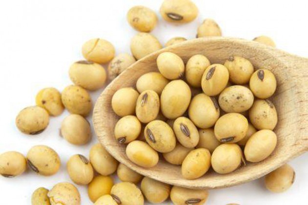 সয়াবিন