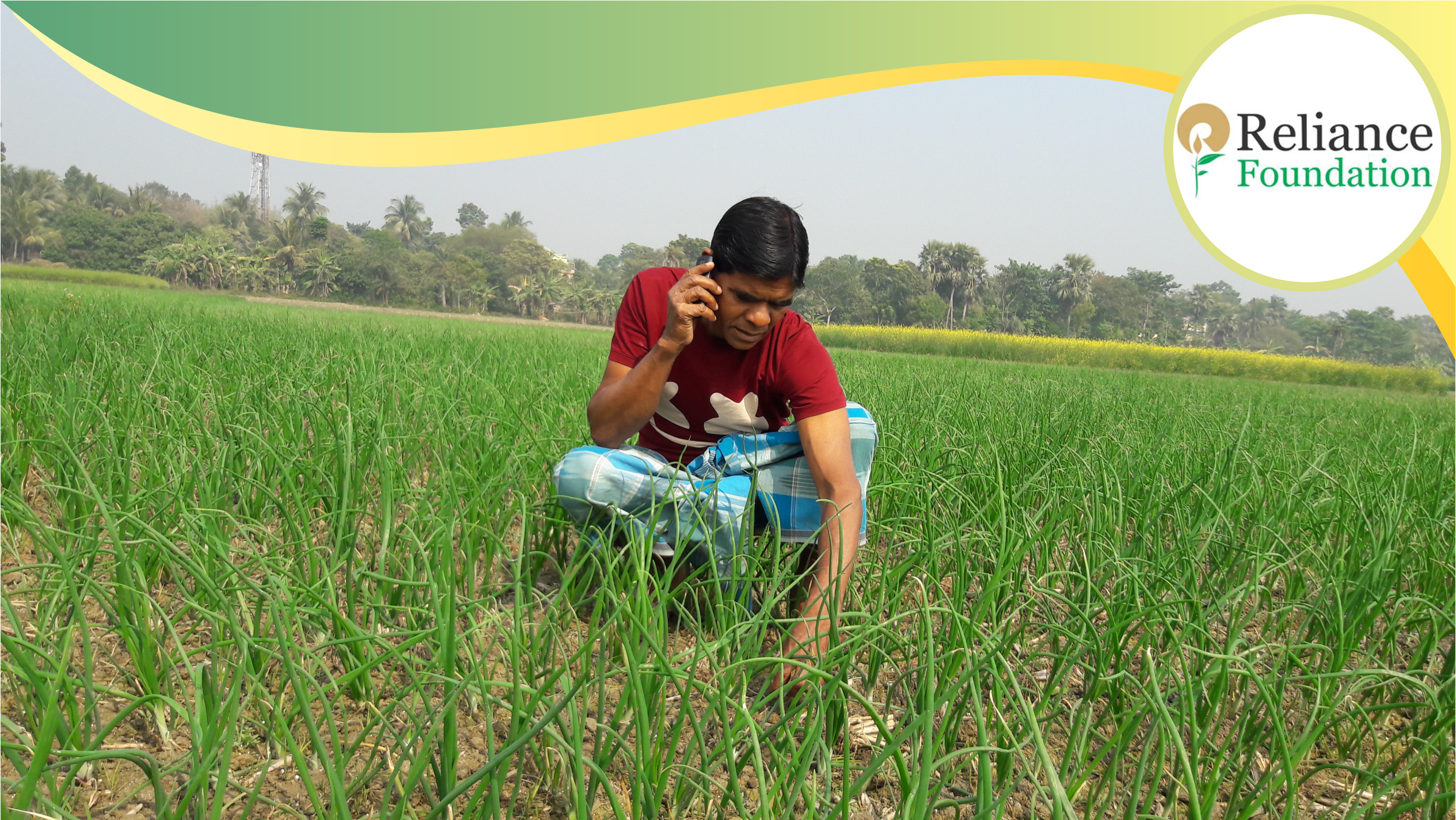 সুভেন্দু বিশ্বাস নিজের পেঁয়াজের ক্ষেতে