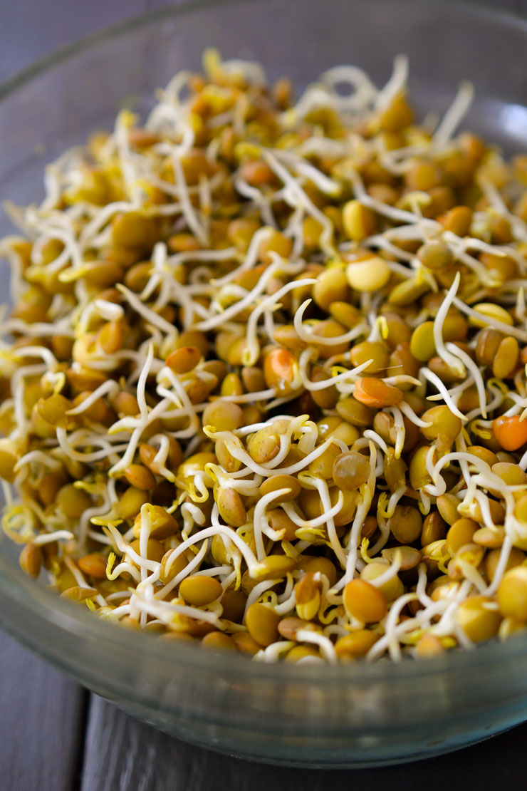 স্প্রাউটস