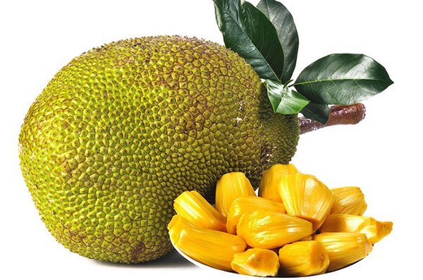 কাঁঠাল ফল