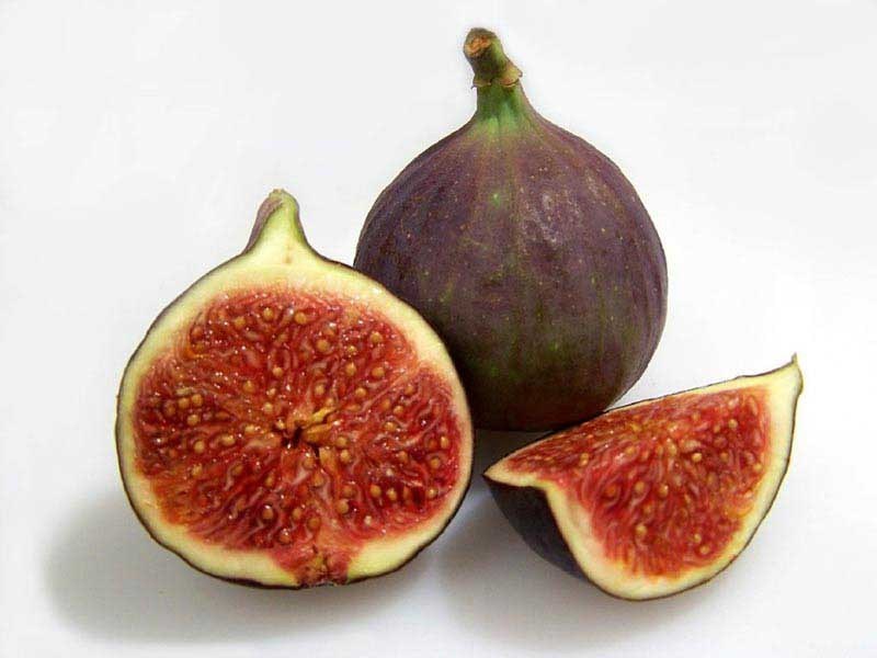 ডুমুর ফল