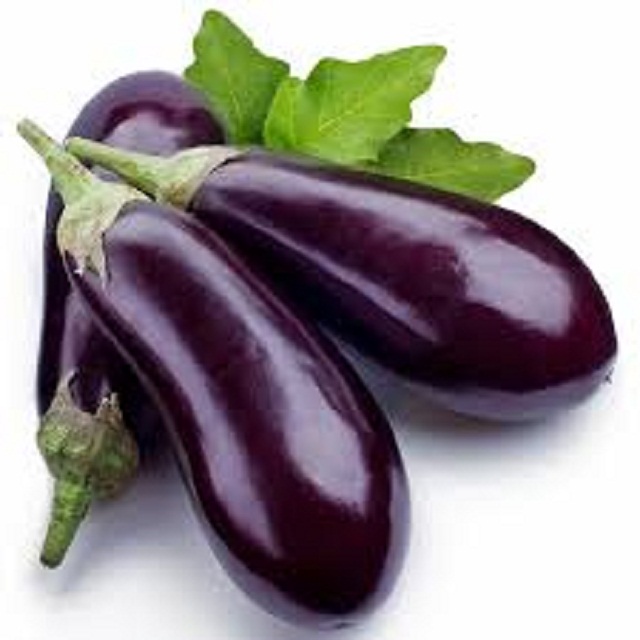 বিটি বেগুন