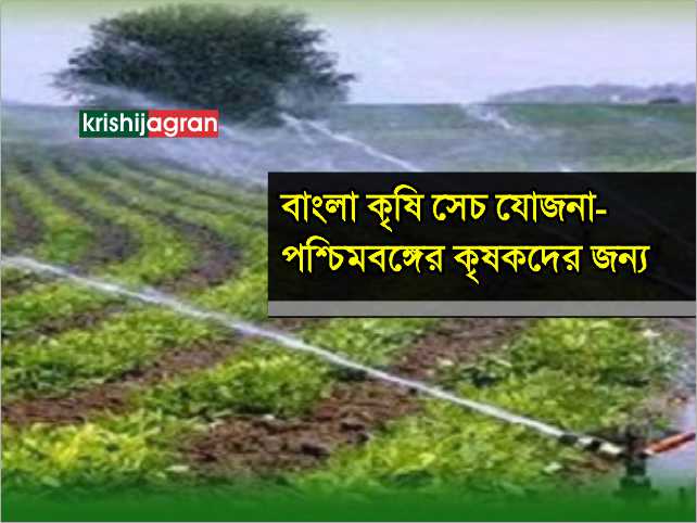 'বাংলা কৃষি সেচ যোজনা'-পশ্চিমবঙ্গের কৃষকদের জন্যে মুখ্যমন্ত্রীর সেচ প্রকল্প 